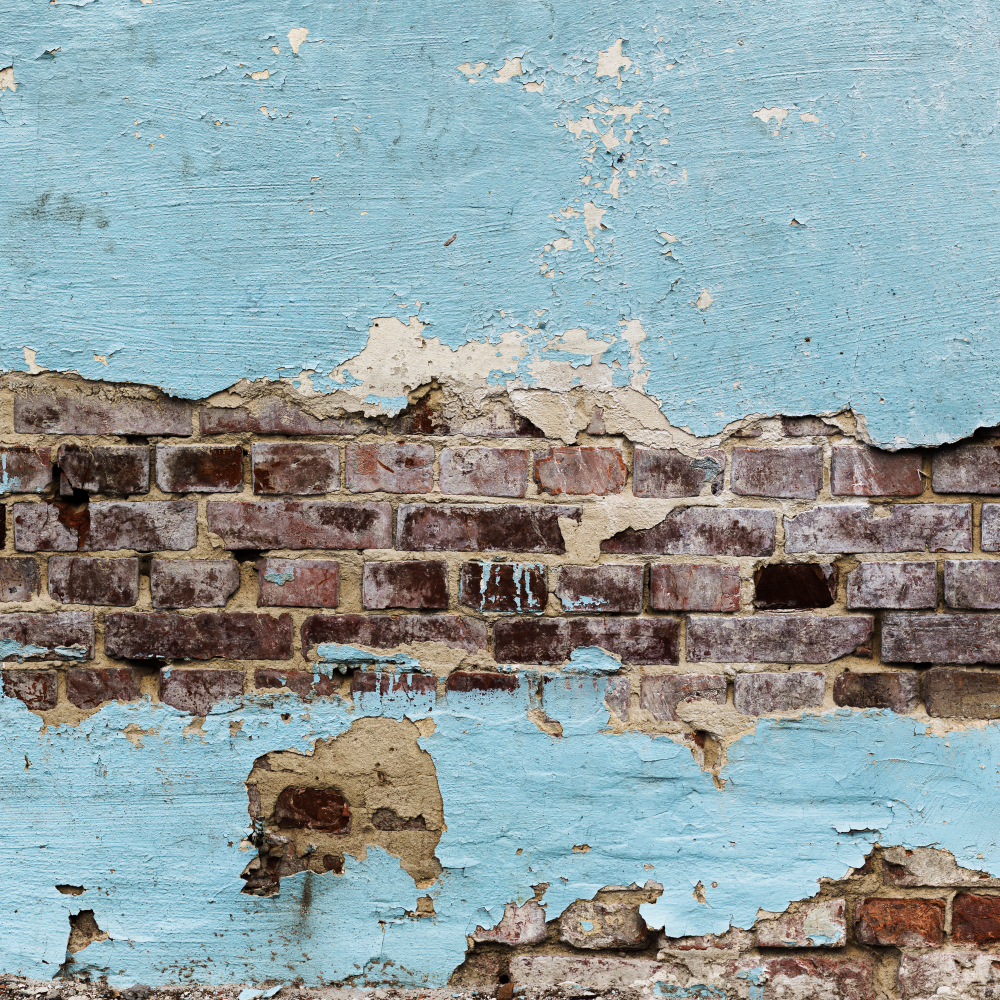 mould issue Southwark